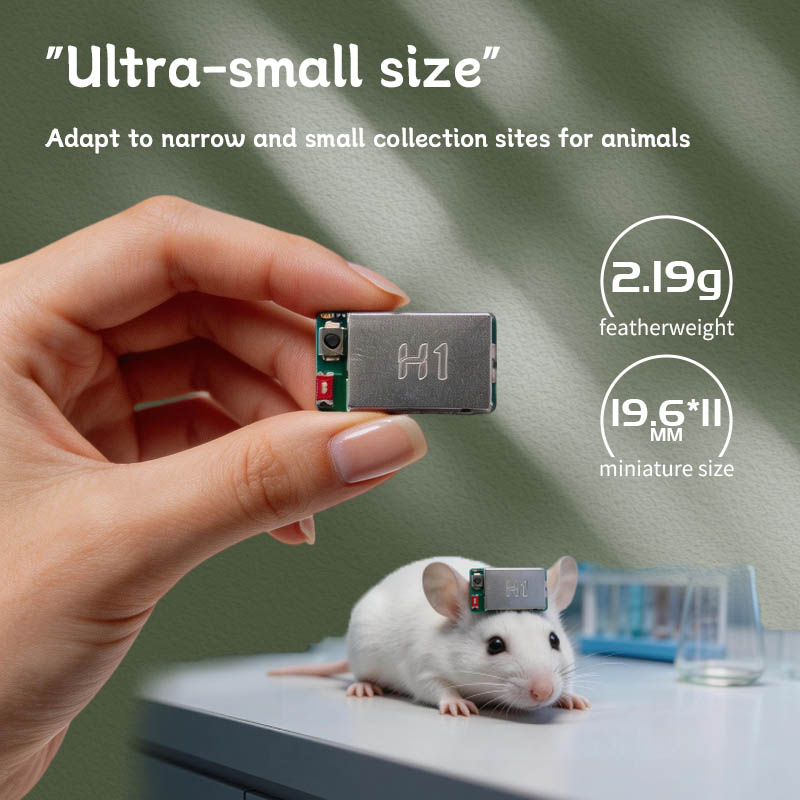H1 EEG EMG Acquisition Module  - đánh giá và giá Muscle Sensor Emg